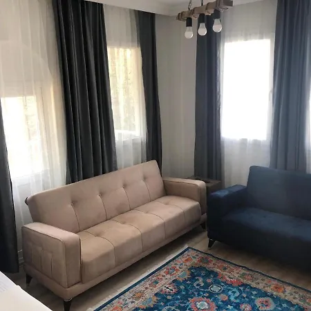 Asya دمرة