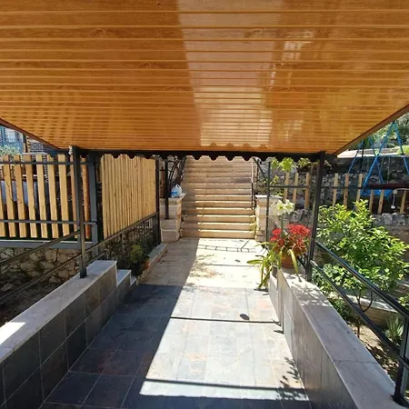 Asya دمرة